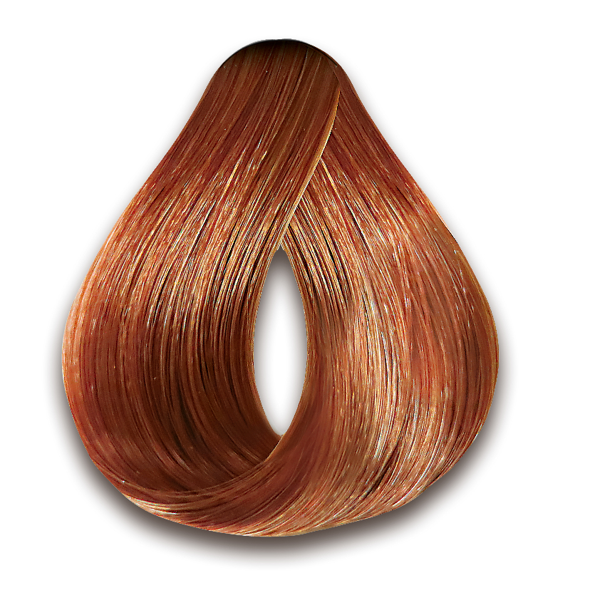 Haskell 8.34: Guia Completo e Onde Comprar | BuscaProdutos