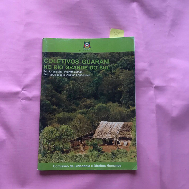 Livro Coletivos Guarani no Rio Grande do Sul - Livro de Cidadania e Direitos Humanos - Livro Usado em Bom Estado