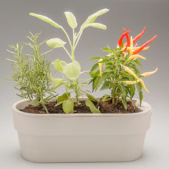 Vaso Hortinha Autoirrigável Planta Tempero Jardim Horizontal Ou Plástico
