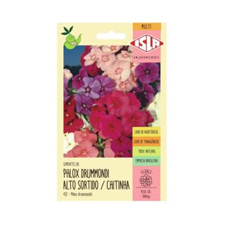 170 SEMENTES DE FLOR BEIJO (PHLOX DRUMMOND) ALTO SORTIDO - FLOR CHINTINHA (12627) em Oferta na Shopee