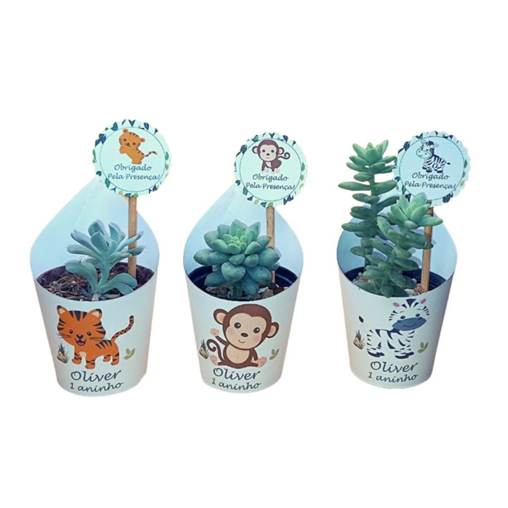 Rótulo para Suculenta  e Tag Personalizado  Lembrancinhas Aniversário infantil - Papelaria  Criativa