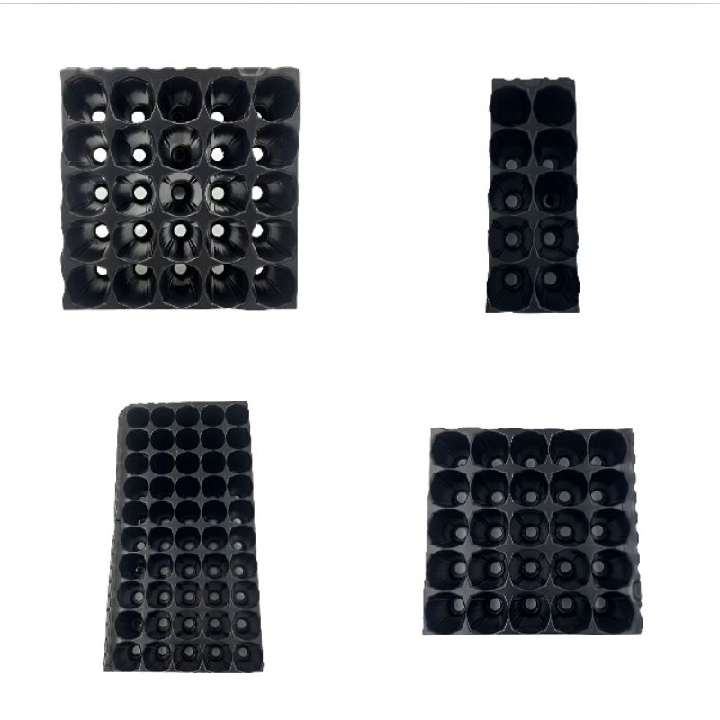 Bandeja sementeira para hortaliças e Temperos 10/20/25/50 células