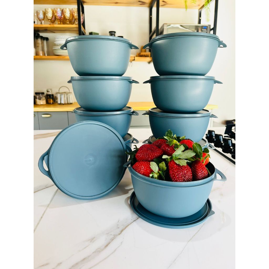 Kit Potes Plásticos 10 unidades BOWL Marmitas