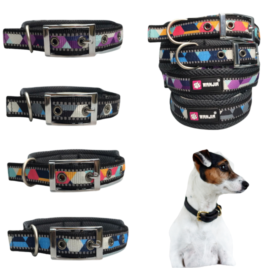 Coleira Ajustável Resistente  Acolchoada para Cachorro Grande Médio Porte Confortável Pet Cão LR-0280 em Oferta na Shopee