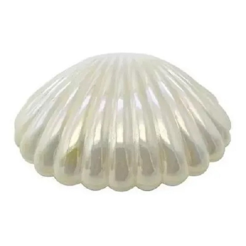 20 Lembrancinha Concha Irisada Perolada Branca Sereia Fundo do Mar