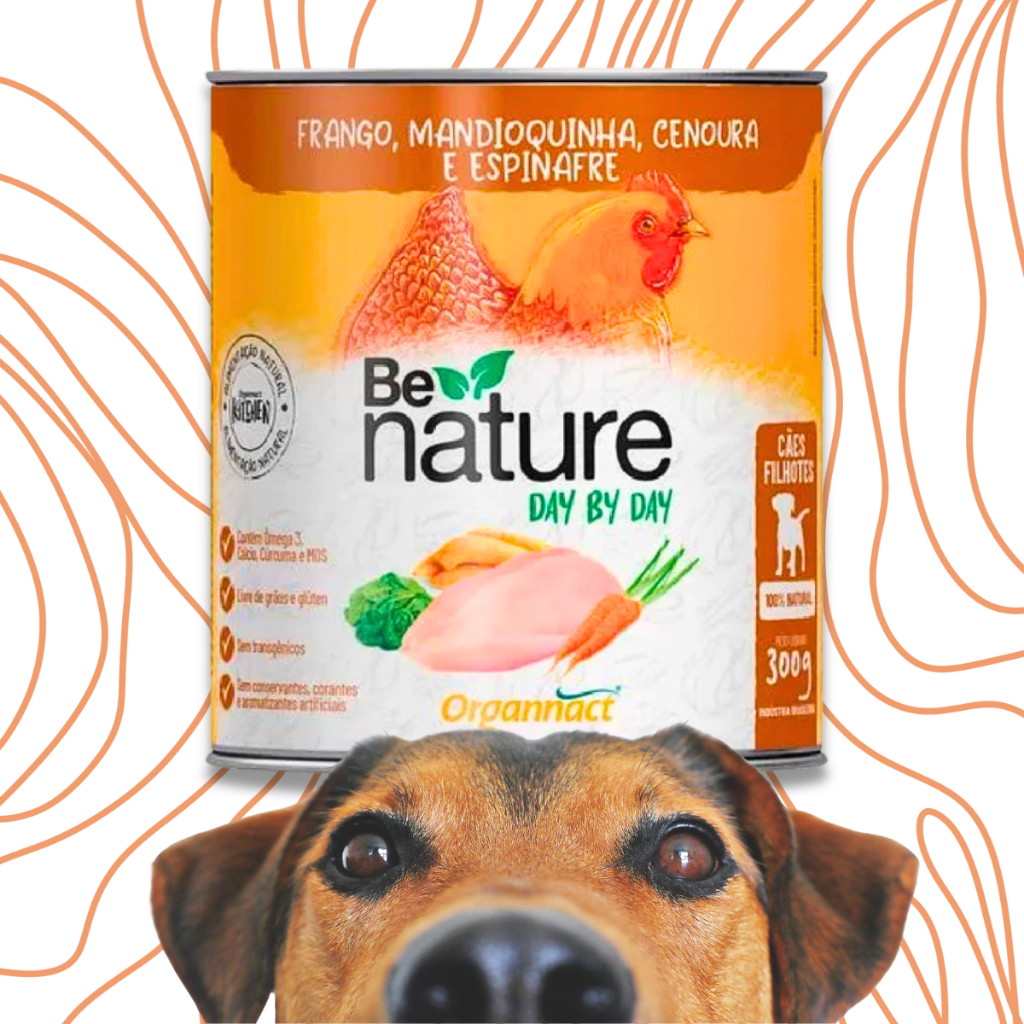 Alimento Úmido Be Nature Day By Day Cães Lata - 300g - Frango, Mandioquinha, Cenoura e Espinafre