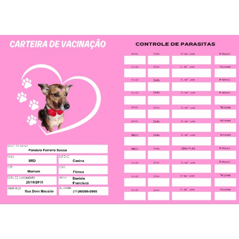 Carteira de Vacinação do pet personalizada