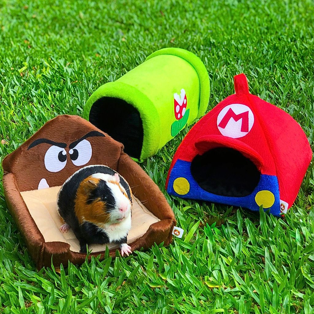 Kit para Porquinho da Índia Super Mario Bros (Toca + Cama +P. Feno)