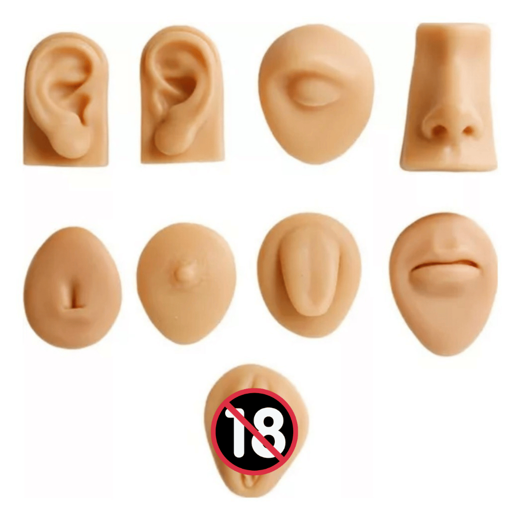 Kit Modelos de Silicone para Treinamento de Perfuração Expositor de Piercings