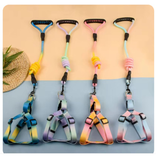 Coleira Peitoral Colorida Degradê Nylon Arco-íris Pet Cão Gato Pequenos até 10kg em Oferta na Shopee