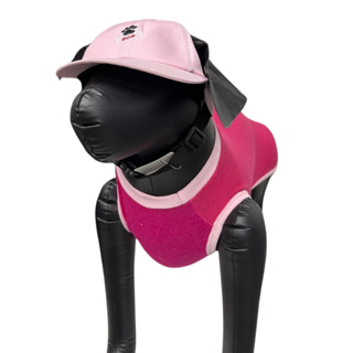 Boné Chapéu Para Pets Cães Cachorro Gato e Gatinhos. em Oferta na Shopee