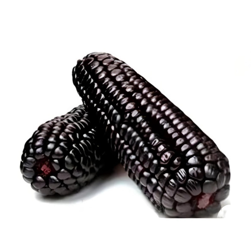 MILHO ROXO SECO IMPORTADO PERU 1 KILO