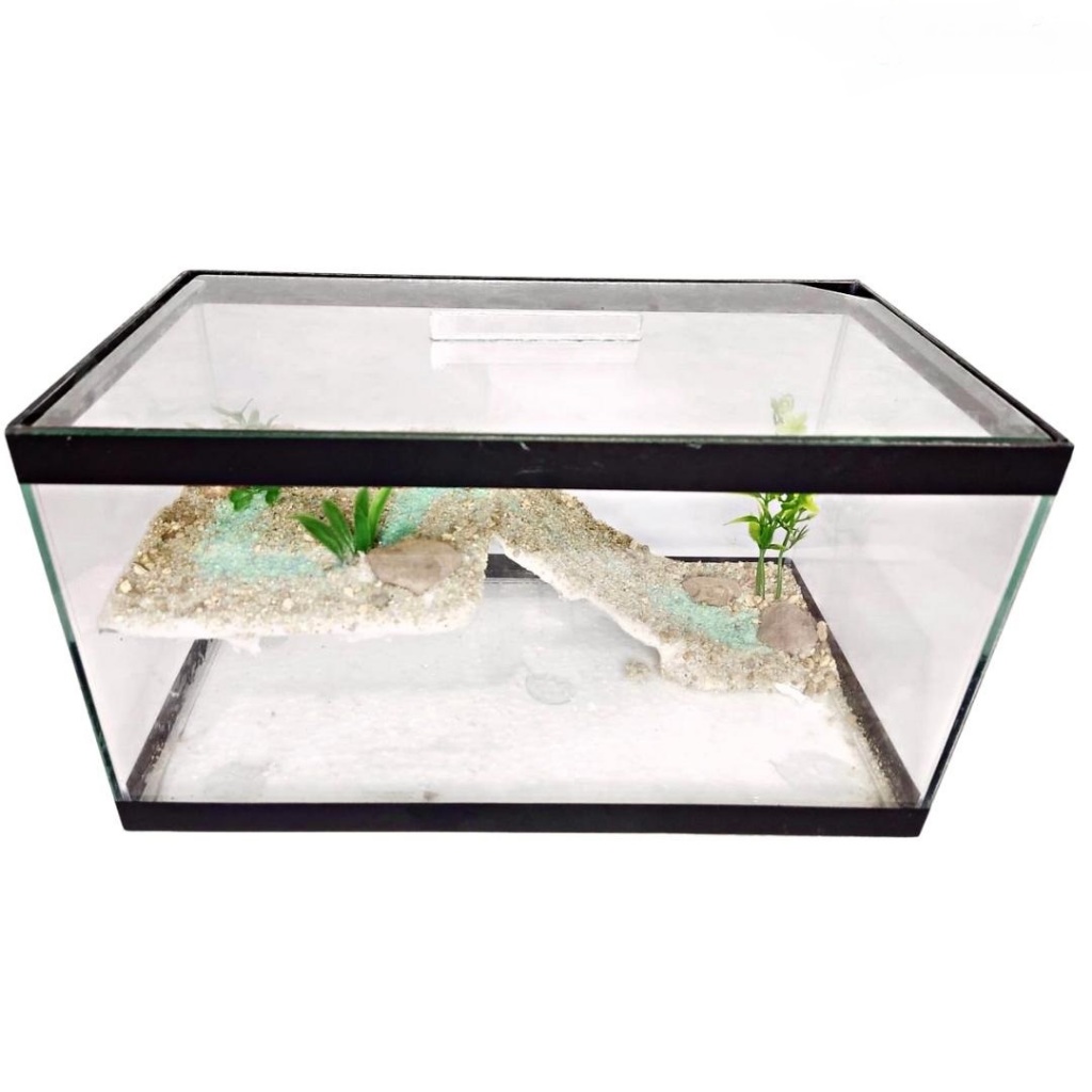 Aquario Terrario com Plataforma Decorada 30cm 9lts em Oferta na Shopee