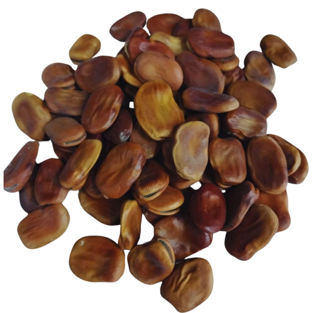 Fava de Iansã Oya Iansa Orixá Umbanda e Candomblé