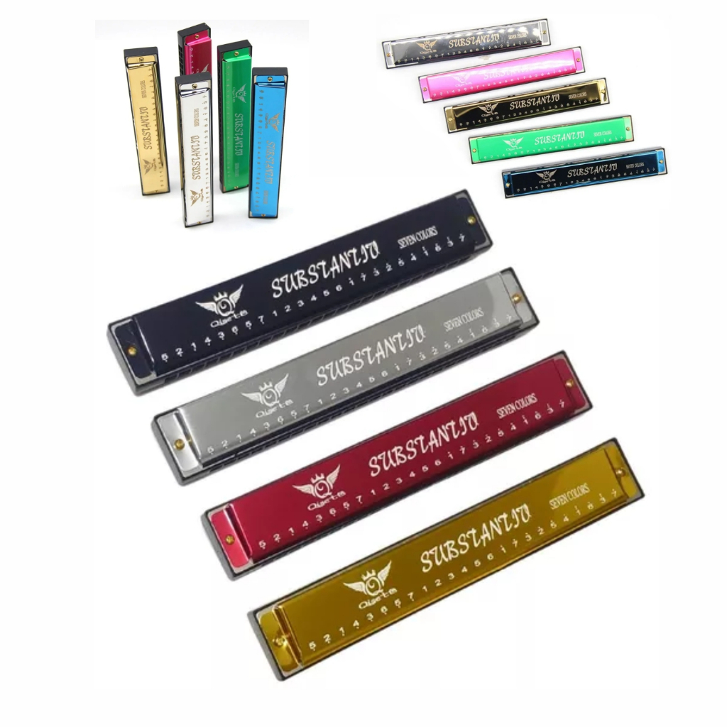 Gaita De Boca Harmônica Qisete 48 Furos Para Iniciante Colorida