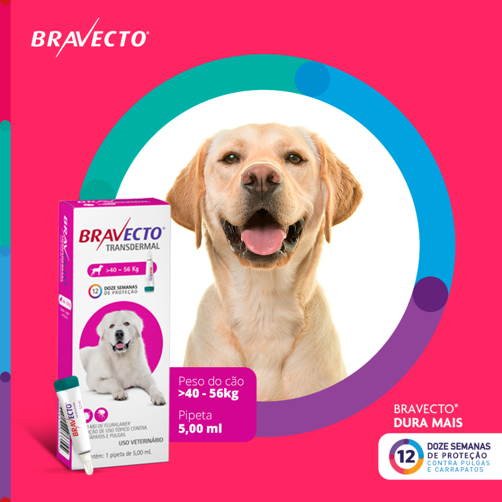 Detalhes do Bravecto Transdermal para Cães de 40 a 56 Kg - 1400 mg