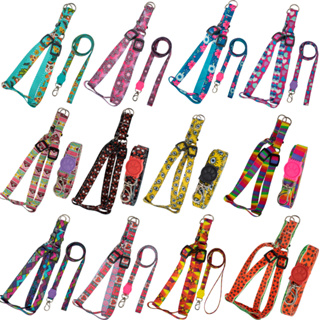 kit coleiras com guia cão pet para cachorro e gatos em Oferta na Shopee