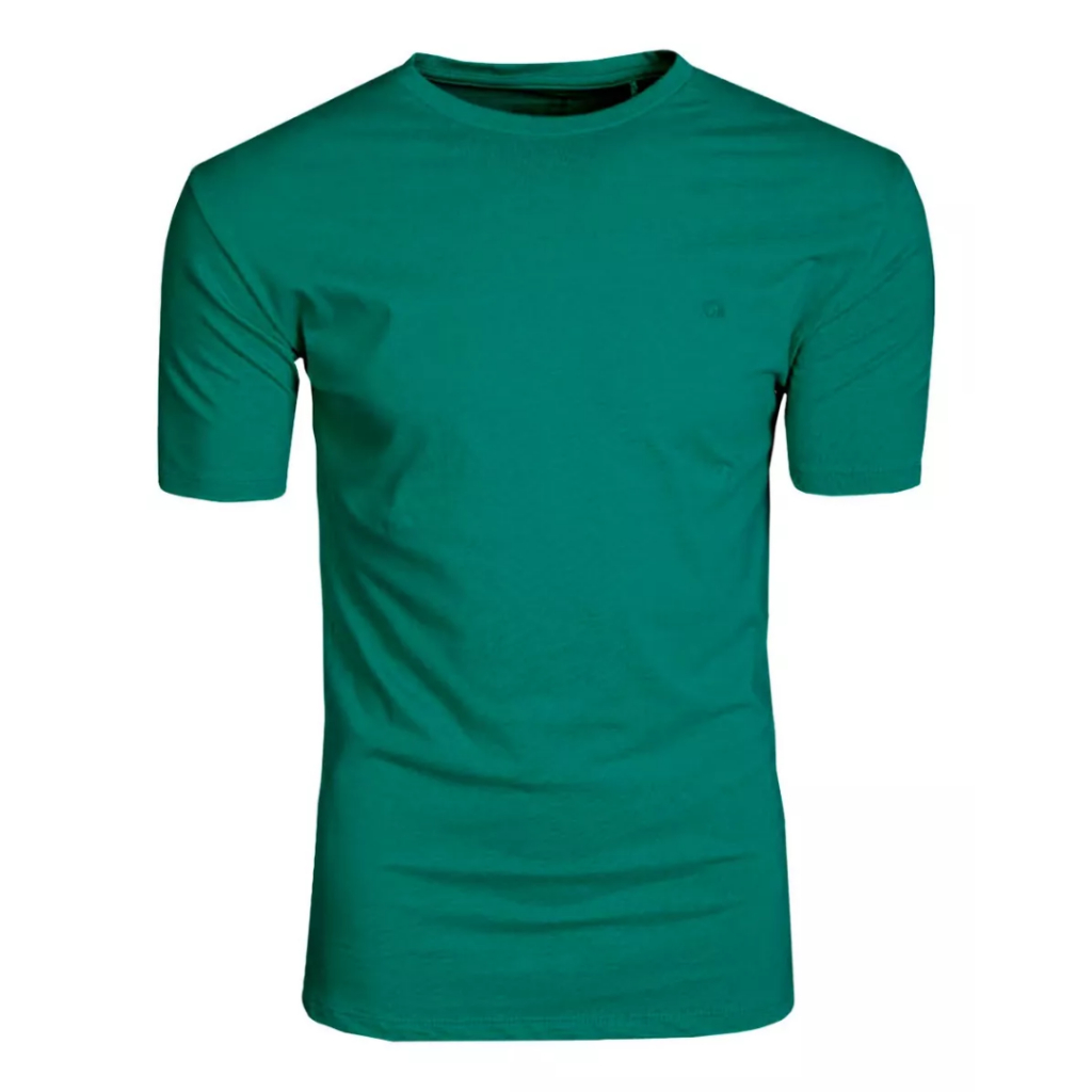 Camiseta Masculina Básica Slim Fit Ogochi Algodão Premium - Envio Imediato