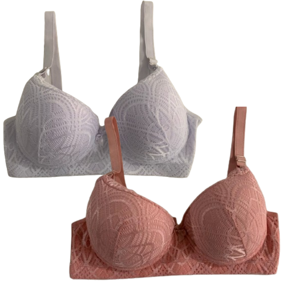 Kit 2 Sutiã Plus Size Feminino com Bojo Reforçado de Renda Conforto Sustentação Alça Grossa Com Aro