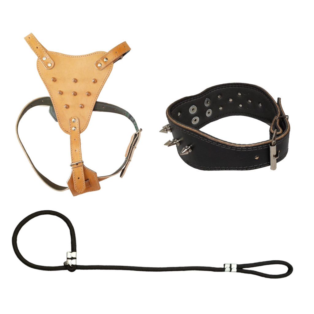 Kit Para Cachorro Com Peitoral Coleira Com Cravo E Enforcador Kit Para Adestramento