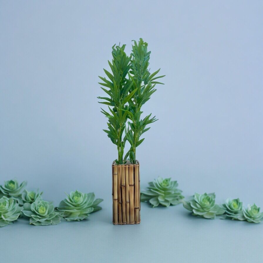 Arranjo Vaso De Bambu + 3 Haste Verde De Bambu 1 Metro Vaso Completo Decoração