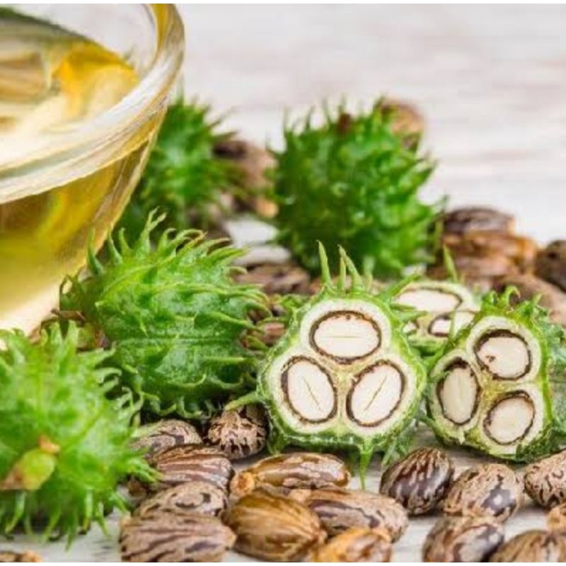 Óleo de Rícino 100% puro extração natural 100ml hidratação capilar, pontas duplas