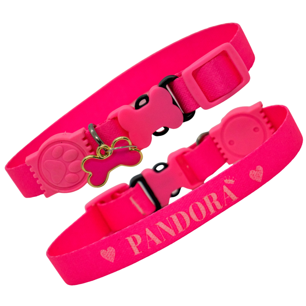 coleira personalizada com nome de identificação ajustável