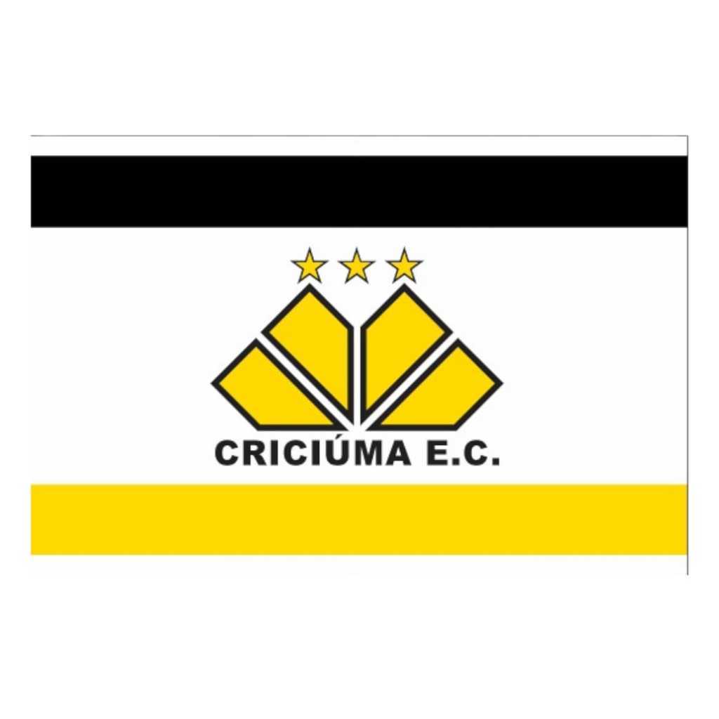 bandeira futebol criciúma menino decoração festa de aniversário campeonato
