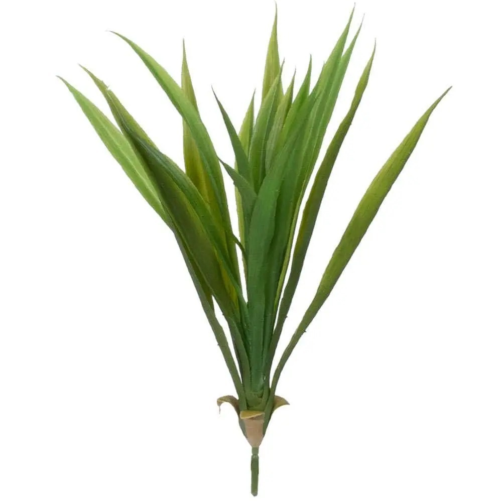 Suculentas para decoração de casa/Sala/Jardinagem-NR801157