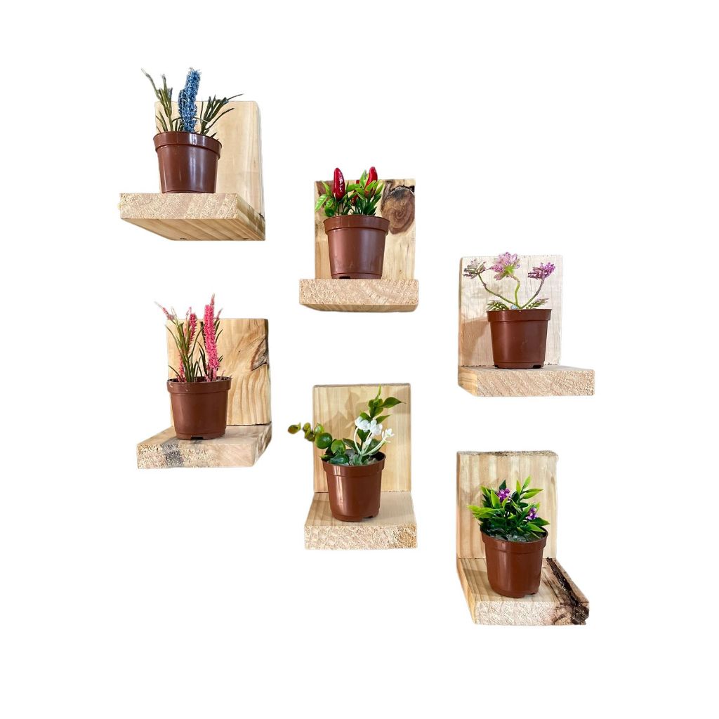 Kit 6 Mini Prateleiras - Suporte de Madeira Pinus PrateleiraS decorativaS estante suspensa nicho de parede suporte de madeira pinus para vasos