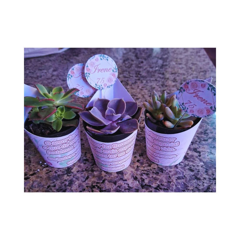 Enviado em 24hs-Saia para Mini Suculenta - lembrancinhas personalizadas -festa infantil,Floral, 15 anos, bodas, batisado
