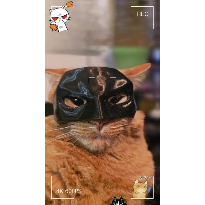 Máscara do Batman para Gato 3D em Oferta na Shopee