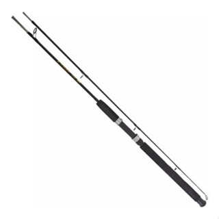 Vara De Pesca Maciça para Molinete 1,50 M Suporta 13 Kg 2 Partes em Oferta na Shopee