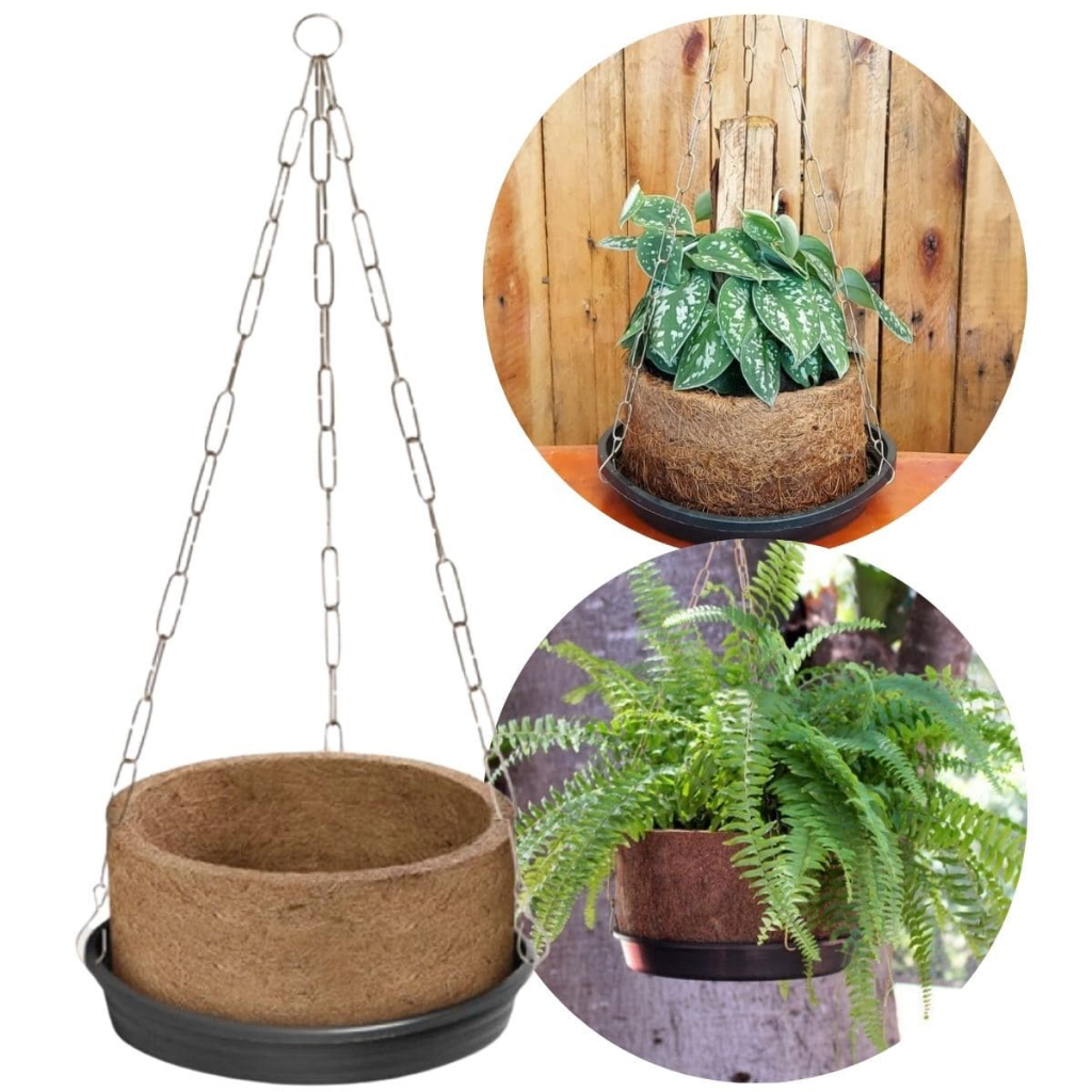 Kit 4 Vaso Xaxim Fibra Coco Natural + Corrente Prato Planta Suspensa Pendente Samambaia Orquídea 03