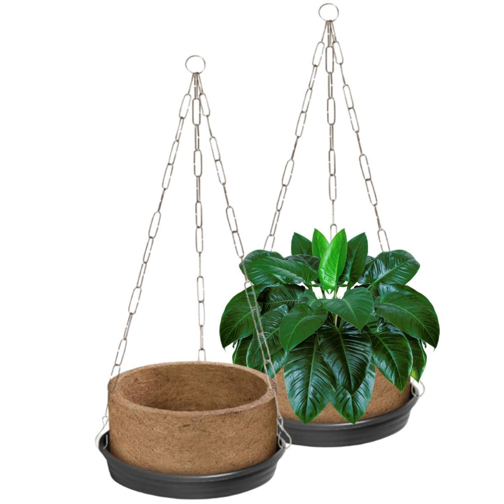 Kit 2 Vaso Xaxim Fibra Coco Natural + Corrente Prato Planta Suspensa Pendente Samambaia Orquídea 03