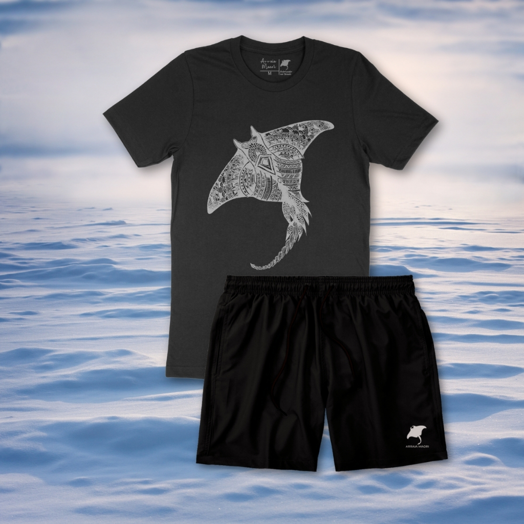 Conjunto Masculino Camiseta 100% Algodão Bermuda e Short Masculino Passeio Academia Treino Casual