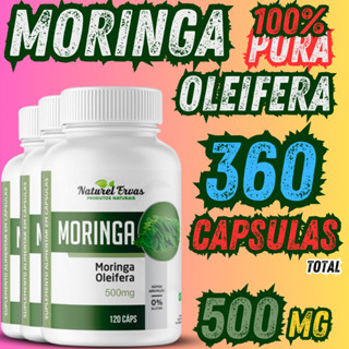 Moringa Planta Oleifera 120 Capsulas 100% Pura planta da vida