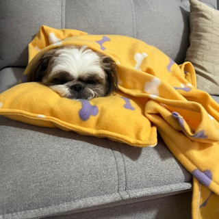 Kit Aconchego Pet Manta com Travesseiro em Oferta na Shopee