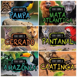 Kit C/ 6 Livros Grandes Biomas do Brasil em Oferta na Shopee