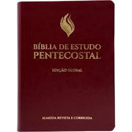 Bíblia de Estudo Pentecostal | Edição Global | ARC | Letra Grande | Capa Luxo Vinho em Oferta na Shopee