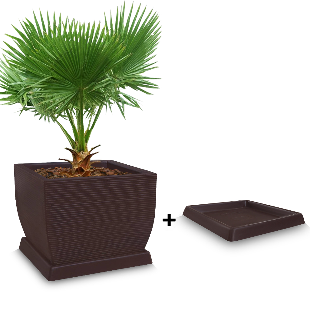 Vaso de Planta Grande 45x50 cm + Prato Quadrado Frutifera Decorativo em Polietileno em Oferta na Shopee