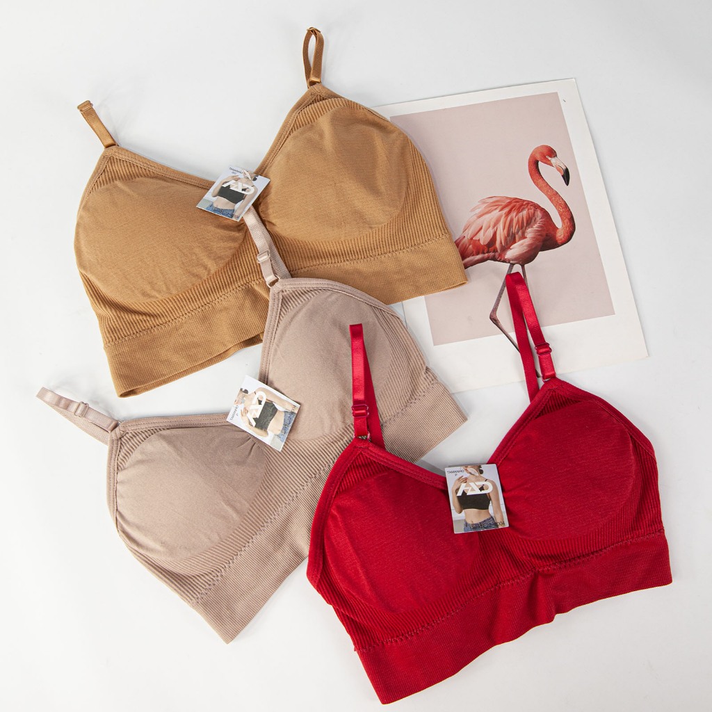 kit 3 Sutiã feminino top Colete Cueca feminina sem costura com almofadas peito em Oferta na Shopee