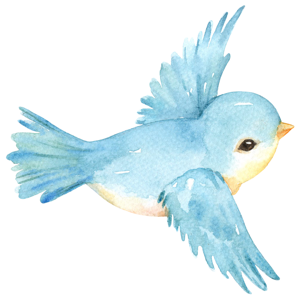 DISPLAY MDF PASSARINHO AZUL 25CM em Oferta na Shopee