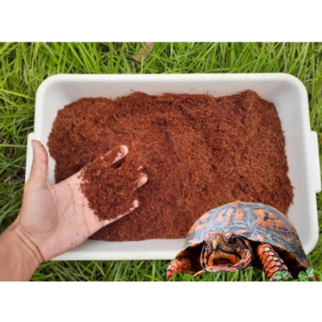 Pó de Coco Para Jabutís E Cágados 5 Litros, Ideal Para Terrários E Criatórios Animais em Oferta na Shopee