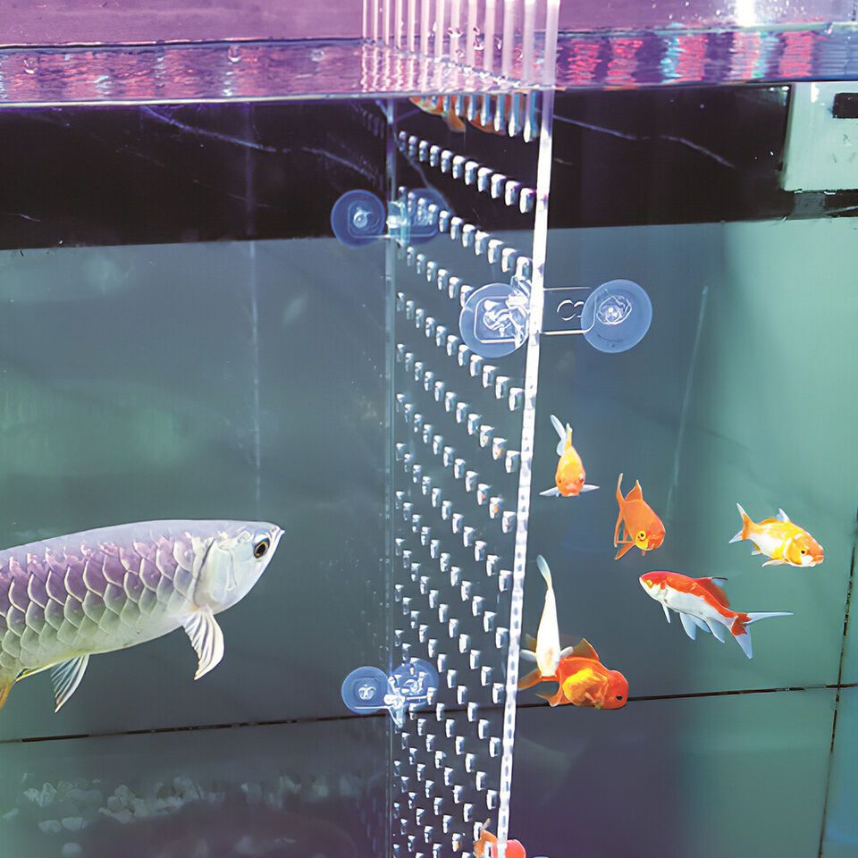 Colmeia Plastica 30x20cm Divisoria P/ Aquario Furos com ventosa Acrílico Transparente Com Ventosa Acessórios Para Aquário De Peixes Combate Ao Doente