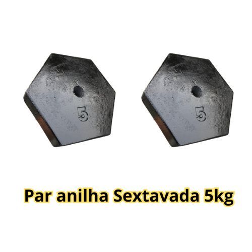 Par  de anilhas 5Kg- pintada- concreto-  (2 unidades) 2 Anilhas 10kg total - Peso de academia
