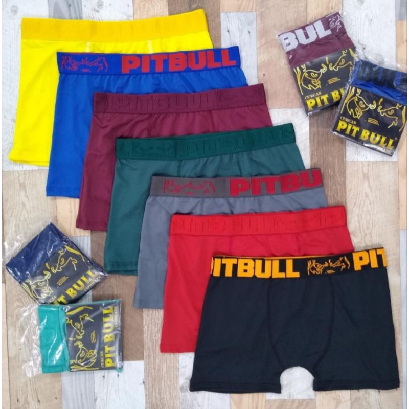 kit 10 Unidades Cueca Microfibra Premium