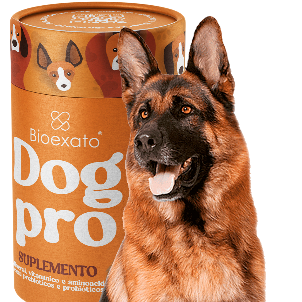 Suplemento Alimentar Dog Pro Para Cachorro de Raça Forte Ganhar Massa Muscular Pitbull Pastor Alemão