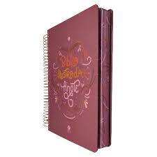 Bíblia Ilustrada Anote Rosa Brilhante | NVT | Letra Normal | Capa Dura Espiral - Books & Magazines
