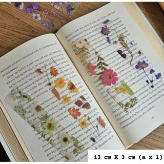 Kit com 5 Marcador de página Flores Transparente Flor Marca Marcador de Livro em Oferta na Shopee